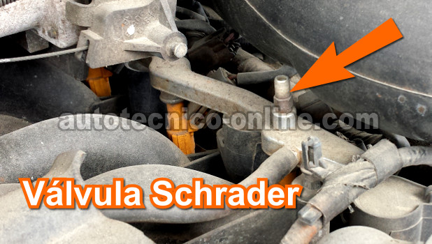 Ubicación De La Válvula Schrader. Cómo Probar La Bomba De Combustible (Ford 4.6L, 5.4L)