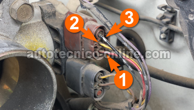 Cómo Probar El Sensor De La Posición De La Mariposa (2000, 2001, 2002 1.8L Nissan Sentra) Cómo Probar El Sensor De La Posición De La Mariposa (2000, 2001, 2002 1.8L Nissan Sentra)