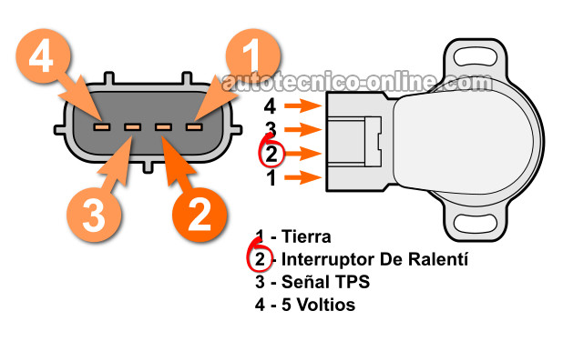 Verificando La Continuidad Del Interruptor De Ralentí (1992, 1993, 1994, 1995, 1996 2.2L Toyota Camry)