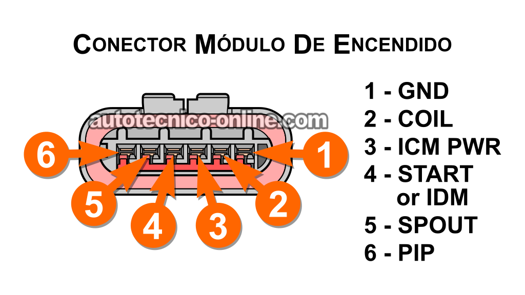 Verificando Que El Módulo De Encendido Esté Recibiendo Alimentación De 12 Voltios. Cómo Probar El Módulo De Encendido (1990, 1991, 1992, 1993, 1994, 1995 3.0L V6 Ford Taurus, Mercury Sable)