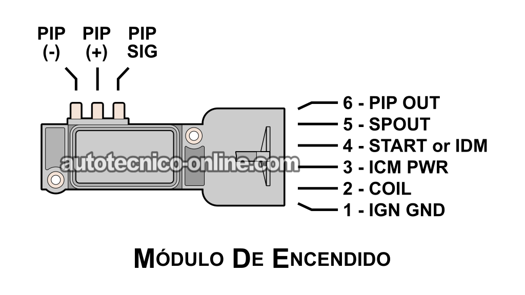 Verificando La Señal PIP Con Un Multímetro. Cómo Probar El Módulo De Encendido (1990, 1991, 1992, 1993, 1994, 1995 3.0L V6 Ford Taurus, Mercury Sable)