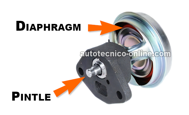 Accionando Manualmente El Diafragma De La Válvula EGR. Cómo Probar La Válvula EGR (1988, 1989, 1990, 1991, 1992, 1993 2.8L Chevrolet S10 Pickup, GMC S15 Pickup, y GMC Sonoma) Accionando Manualmente El Diafragma De La Válvula EGR. Cómo Probar La Válvula EGR (1988, 1989, 1990, 1991, 1992, 1993 2.8L Chevrolet S10 Pickup, GMC S15 Pickup, y GMC Sonoma)