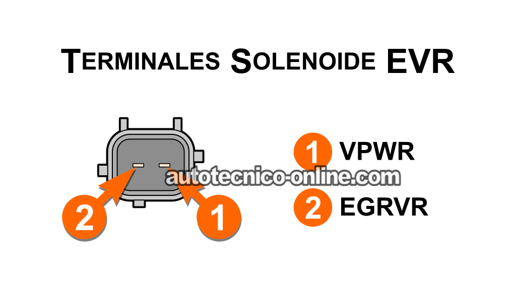 Verificando La Resistencia Interna Del Solenoide EVR. P1409: Cómo Probar El Solenoide EVR (2001, 2002, 2003, 2004, 2005, 2006, 2007, 2008 3.0L V6 Ford Escape)