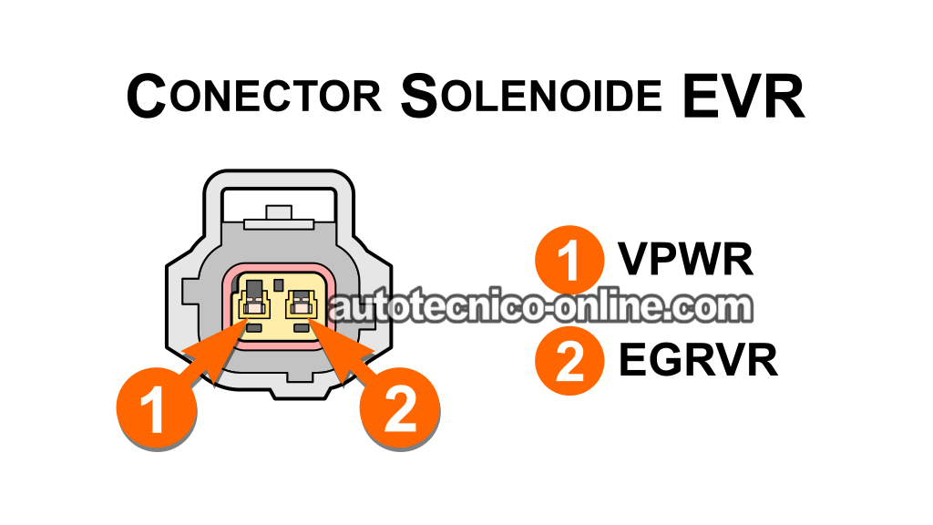 Verificando La Alimentación 12 Voltios Del Solenoide EVR. P1409: Cómo Probar El Solenoide EVR (2001, 2002, 2003, 2004, 2005, 2006, 2007, 2008 3.0L V6 Ford Escape)