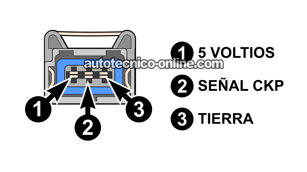 Descripción De Los Circuitos Del Sensor CKP. Cómo Probar El Sensor De Posición Del Cigüeñal (1998, 1999, 2000, 2001, 2002, 2003 2.2L Isuzu Rodeo, Amigo)