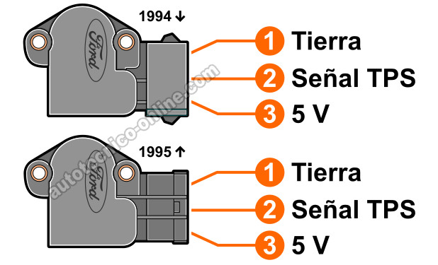 Verificando Alimentación De Tierra. Cómo Probar El Sensor TPS Con Multímetro (1994-1995 3.8L Ford Mustang, Ford Thunderbird, Mercury Cougar)