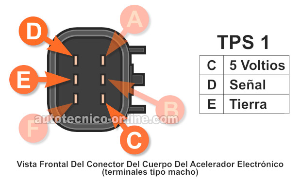 Lo Esencial Del Cuerpo Del Acelerador Electrónico (2007-2009 3.5L Chevy Malibu y Pontiac G6)