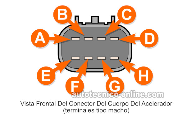 Identificando Las Terminales Del Cuerpo Del Acelerador Electrónico. Cómo Probar El Cuerpo Del Acelerador Electrónico (2005-2006 2.2L Chevrolet Cobalt)